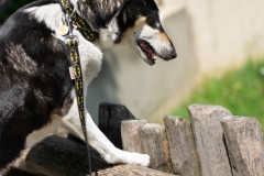 Zoo Olomouc