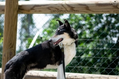 Zoo Olomouc