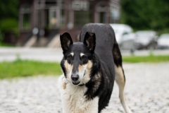 Karlova Studánka